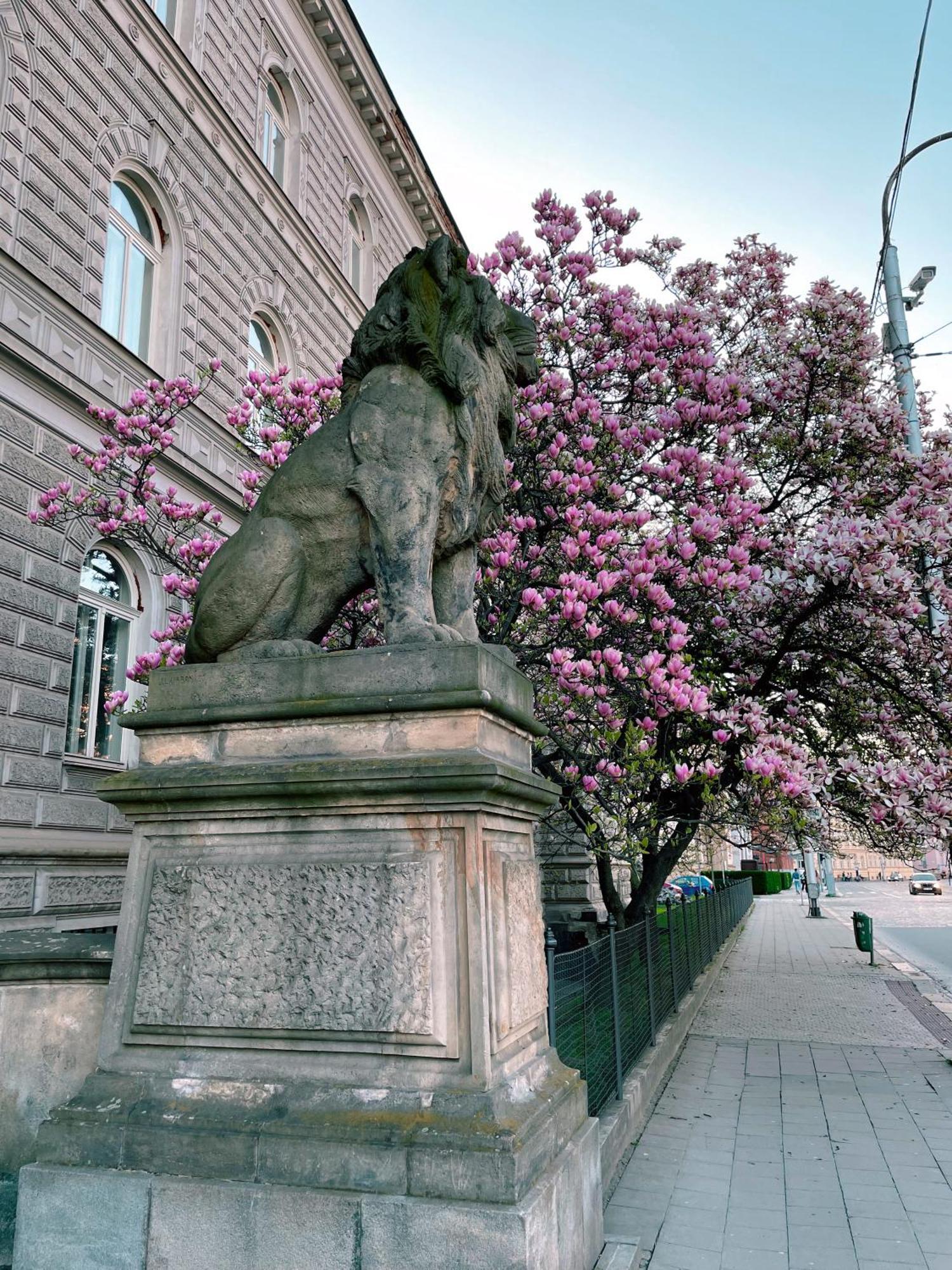 Pension Moravia Olomouc Luaran gambar