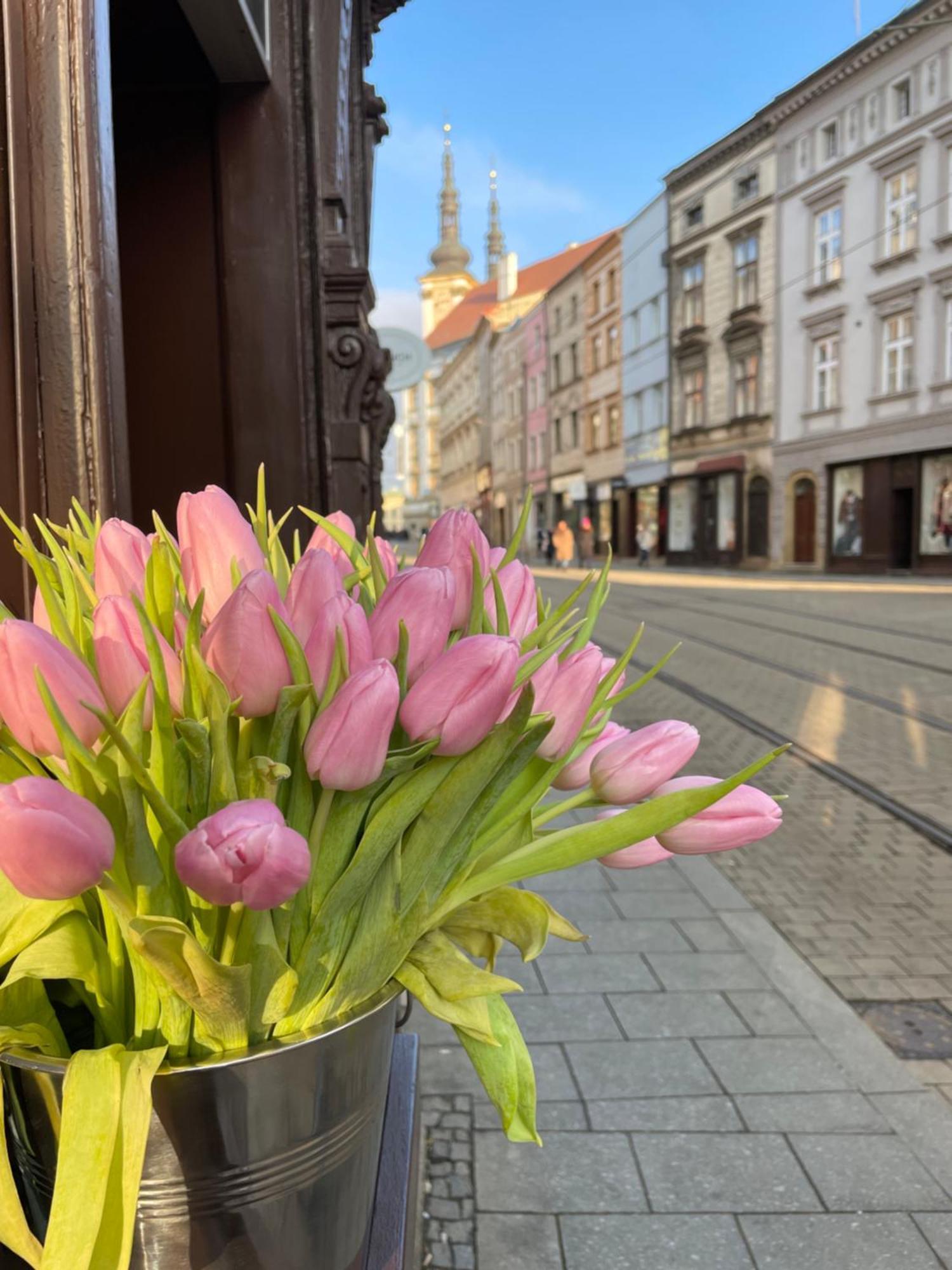Pension Moravia Olomouc Luaran gambar
